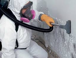 Best Real Estate Mold Inspection  in USA